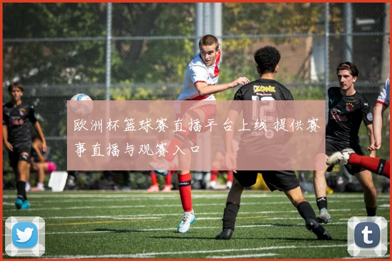 欧洲杯篮球赛直播平台上线 提供赛事直播与观赛入口