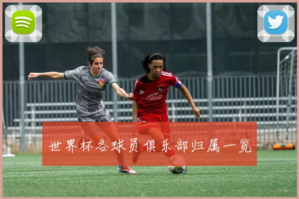 世界杯各球员俱乐部归属一览