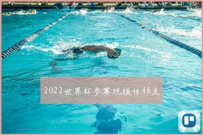 2022世界杯参赛规模传48支