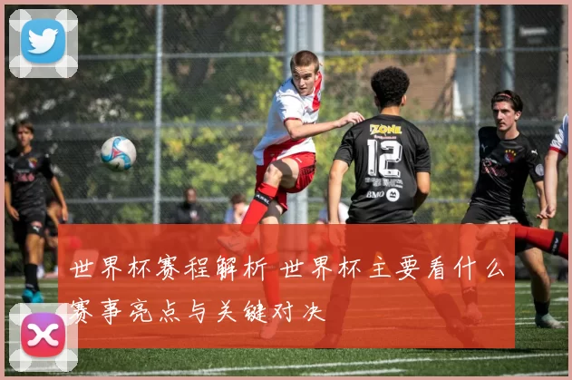 世界杯赛程解析 世界杯主要看什么赛事亮点与关键对决